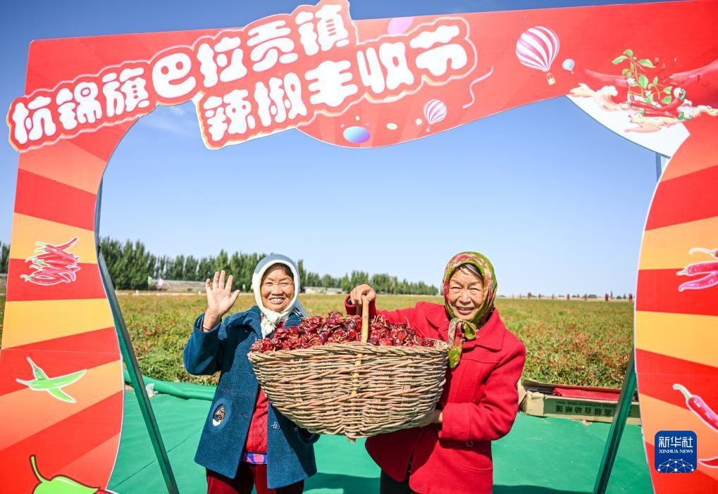 宝马娱乐平台